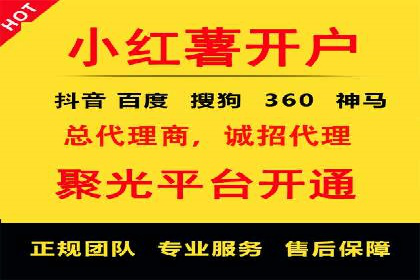 竞价托管与SEO结合的案例分析